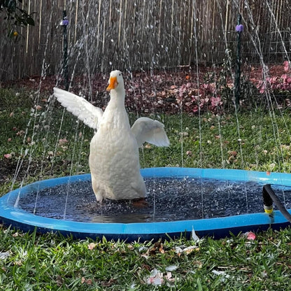 Pet Splash Pad